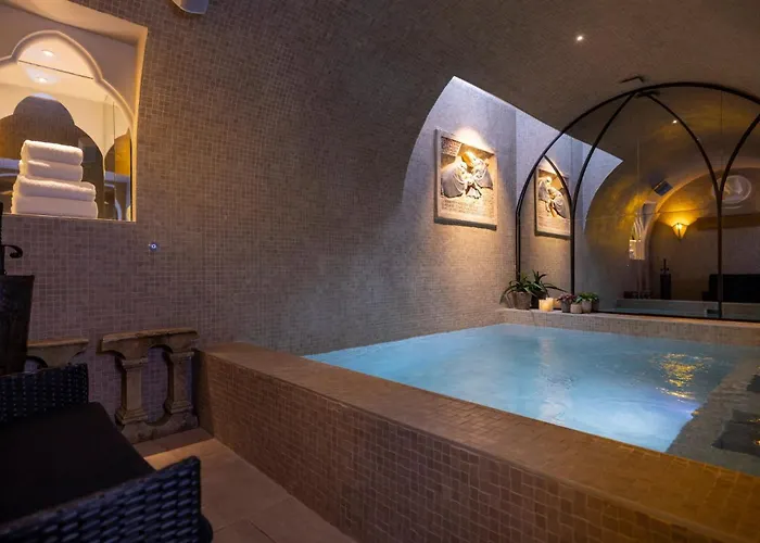 Hotel Da Vinci &