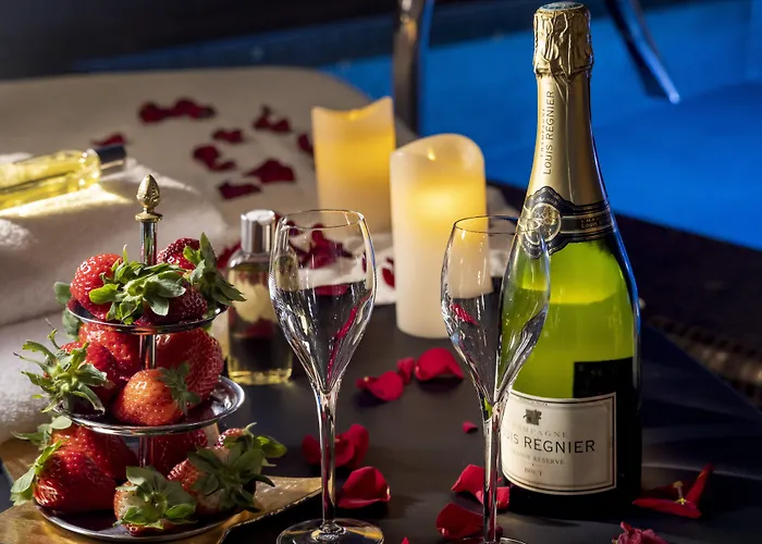 オテル ダ ヴィンチ＆スパ 4*