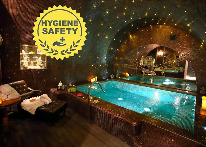 Hotel Da Vinci&spa 4*